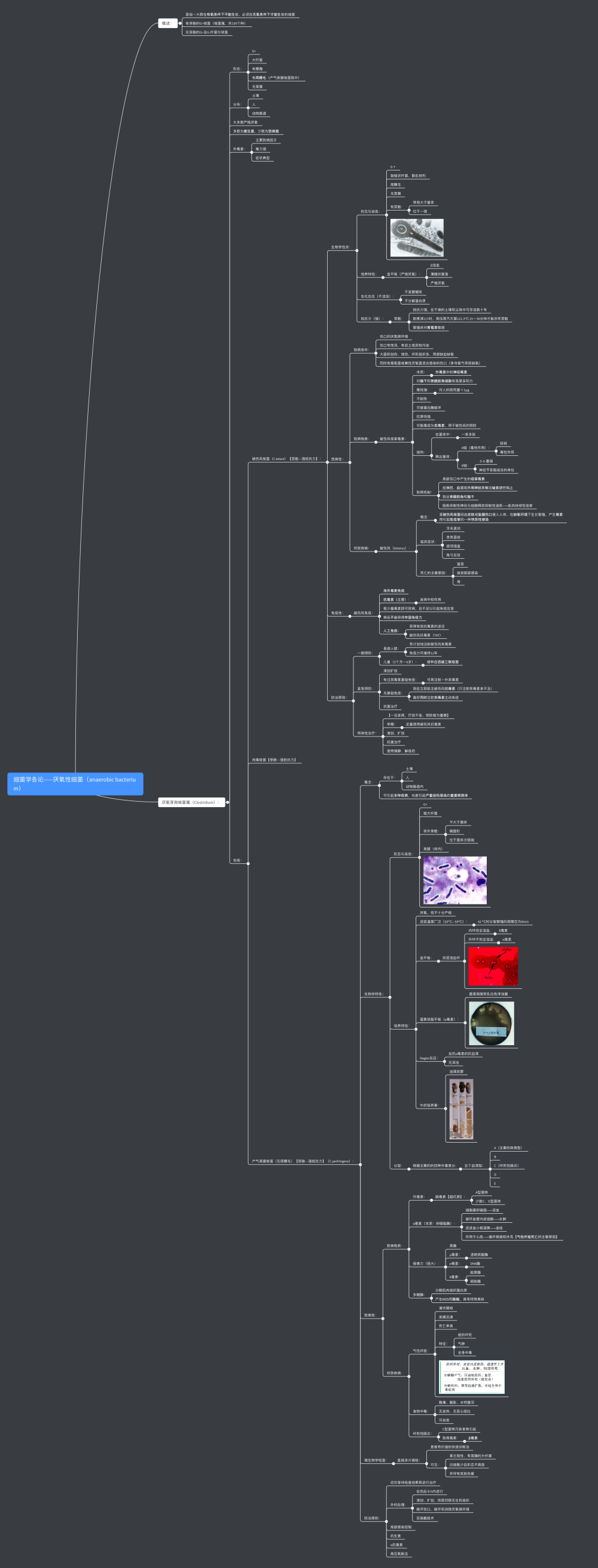 医学微生物学思维导图-厌氧细菌
