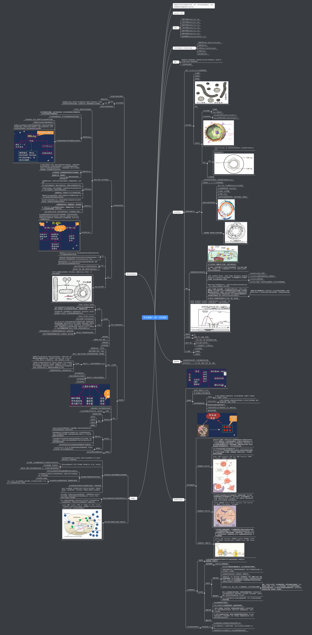 医学微生物学思维导图-乙肝病毒