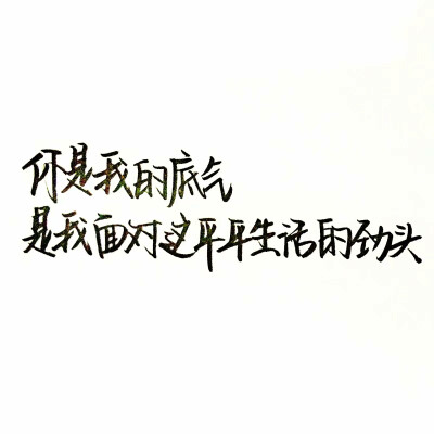 你是我的底气
是我面对这平平生活的劲头