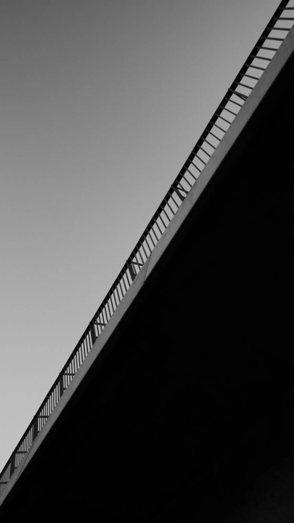 ◆不知东方之既白