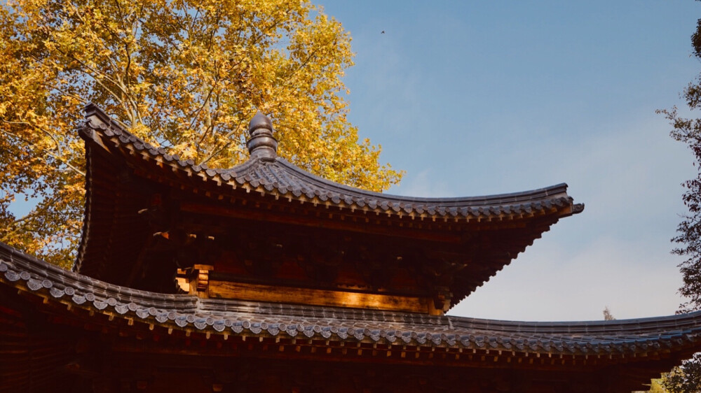 碧山村/
玄武湖/
我家/我校/栖霞寺