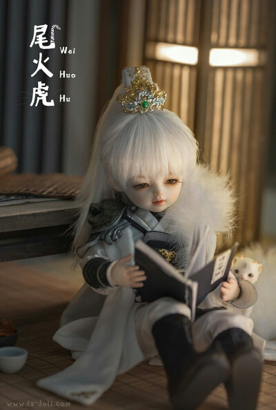 「尾火虎」 SD娃娃 BJD 玩具 人偶 壁紙 萌物 