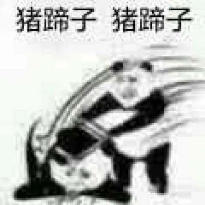 表情包