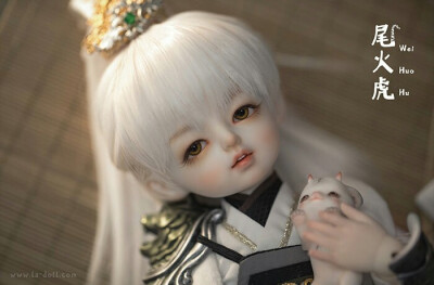 「尾火虎」SD娃娃 BJD 玩具 人偶 壁紙 萌物 