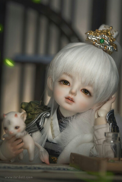 「尾火虎」SD娃娃 BJD 玩具 人偶 壁紙 萌物 