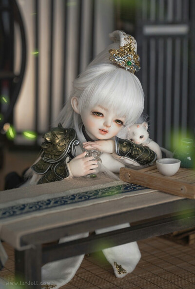 「尾火虎」SD娃娃 BJD 玩具 人偶 壁紙 萌物 