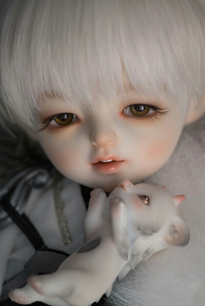 「尾火虎」SD娃娃 BJD 玩具 人偶 壁紙 萌物 