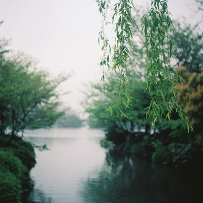 前林夏雨歇，为我生凉风。一室烦暑外，众山清景中。