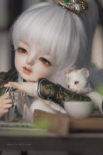 「尾火虎」 SD娃娃 BJD 玩具 人偶 壁紙 萌物 