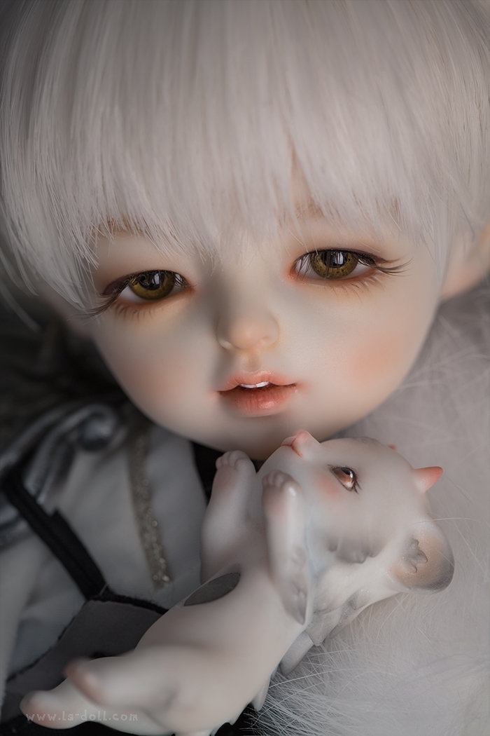 「尾火虎」 SD娃娃 BJD 玩具 人偶 壁纸 萌物 