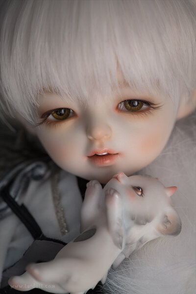 「尾火虎」 SD娃娃 BJD 玩具 人偶 壁紙 萌物 