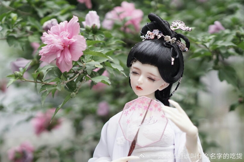 古风美人 SD娃娃 BJD 玩具 人偶 壁纸 萌物 