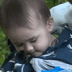 本本小可爱(≧∀≦)