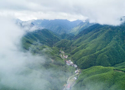 福建省武夷山国家级自然保护区腹地的桐木村