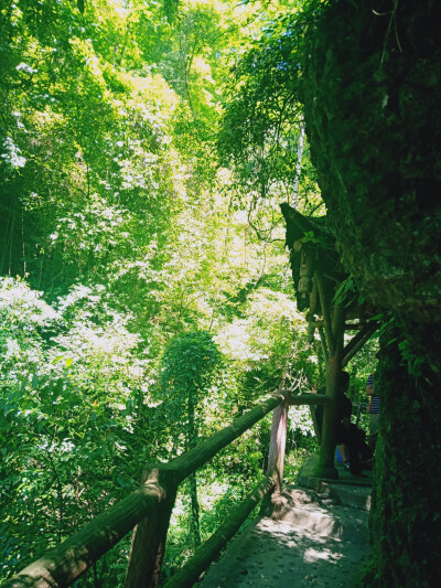 青城山之旅~