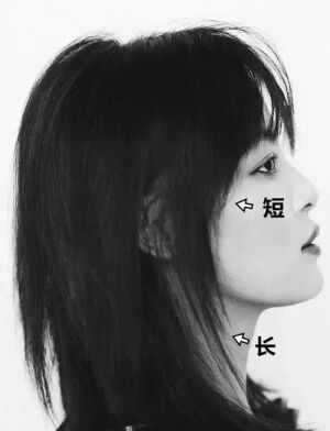 默认专辑