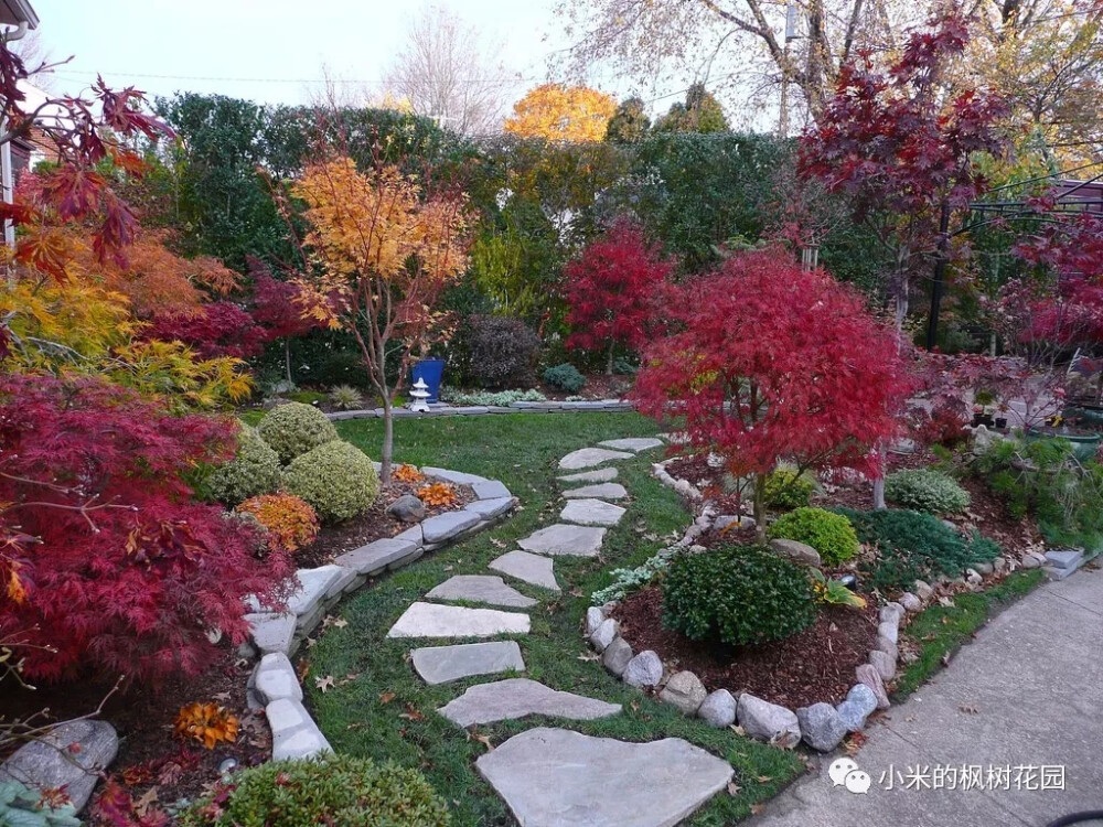 楓樹(shù)花園