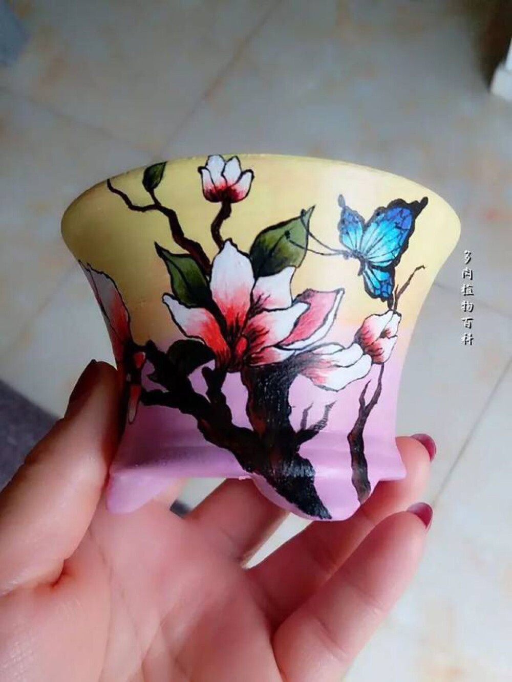 盆盆