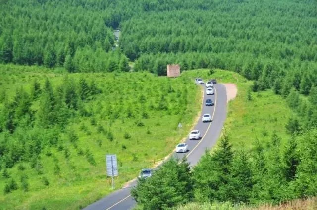 在河北，有一条景色美绝的公路，它绵延数百里，一到夏季，就美出了新高度
这里如梦如幻，很多人都称它为“中国的66号公路”，但是“草原天路”才是最适合它的。公路沿线蜿蜒曲折、河流山峦、沟壑纵深、草甸牛羊、景观奇峻，真的让人一刻也移不开眼睛。