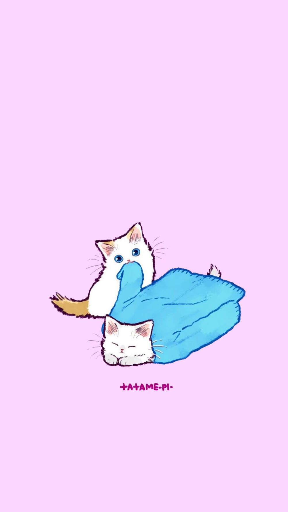 壁纸·快乐的喵喵