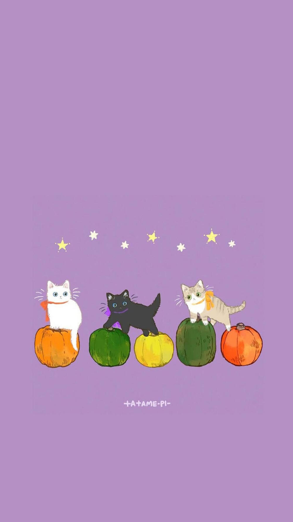 壁纸·快乐的喵喵