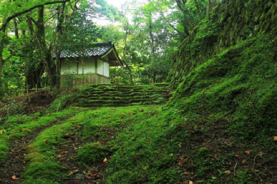 游罢睡一觉，觉来茶一瓯。 眼明见青山，耳醒闻碧流。----白居易