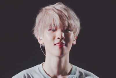 明星 壁纸 EXO 边伯贤 