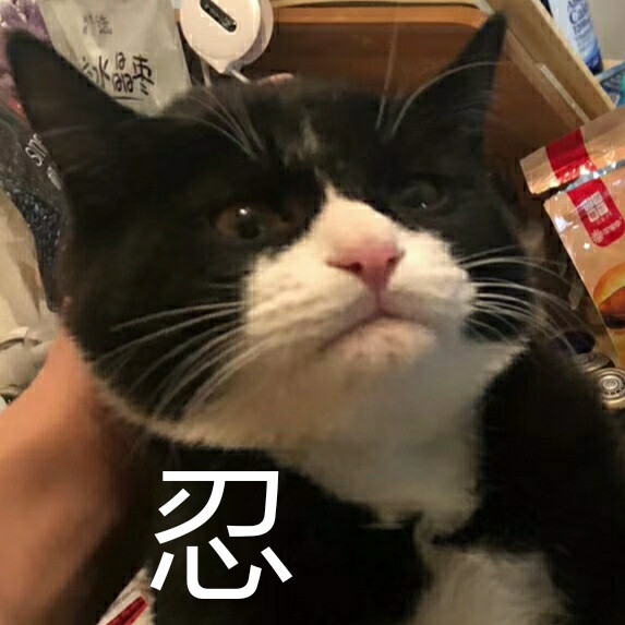 忍 隐忍 倔强 猫 奶牛猫 表情包