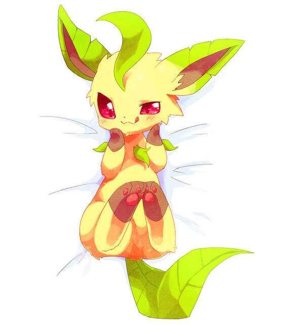 神奇宝贝pokemon伊布宝可梦精灵宝可梦