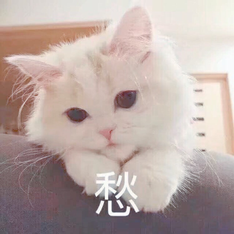 玉儿