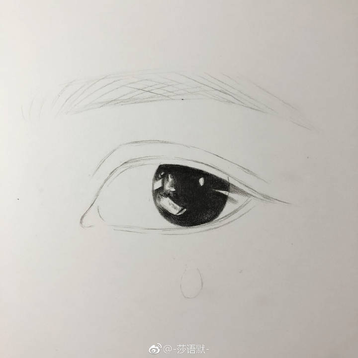 一根自动铅配合黑色彩铅完成的眼睛手绘 作者：-莎语默- ​