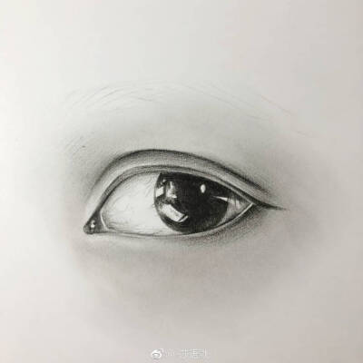 一根自动铅配合黑色彩铅完成的眼睛手绘 作者：-莎语默- ​