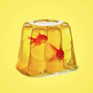 动物与食物的创意组合，脑洞大开～
有趣的创意点你get到了吗？