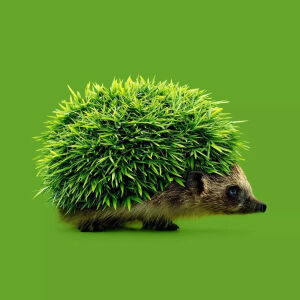 动物与食物的创意组合，脑洞大开～
有趣的创意点你get到了吗？