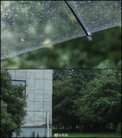 休息日的「 小 记」
梅雨季，小心感冒 ​​​
cr@芊鄩