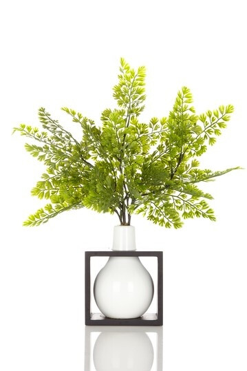 Fern in White Box Vase - 15&quot; x 12&quot; by Spring: Designer Floral Arrangements on @HauteLook