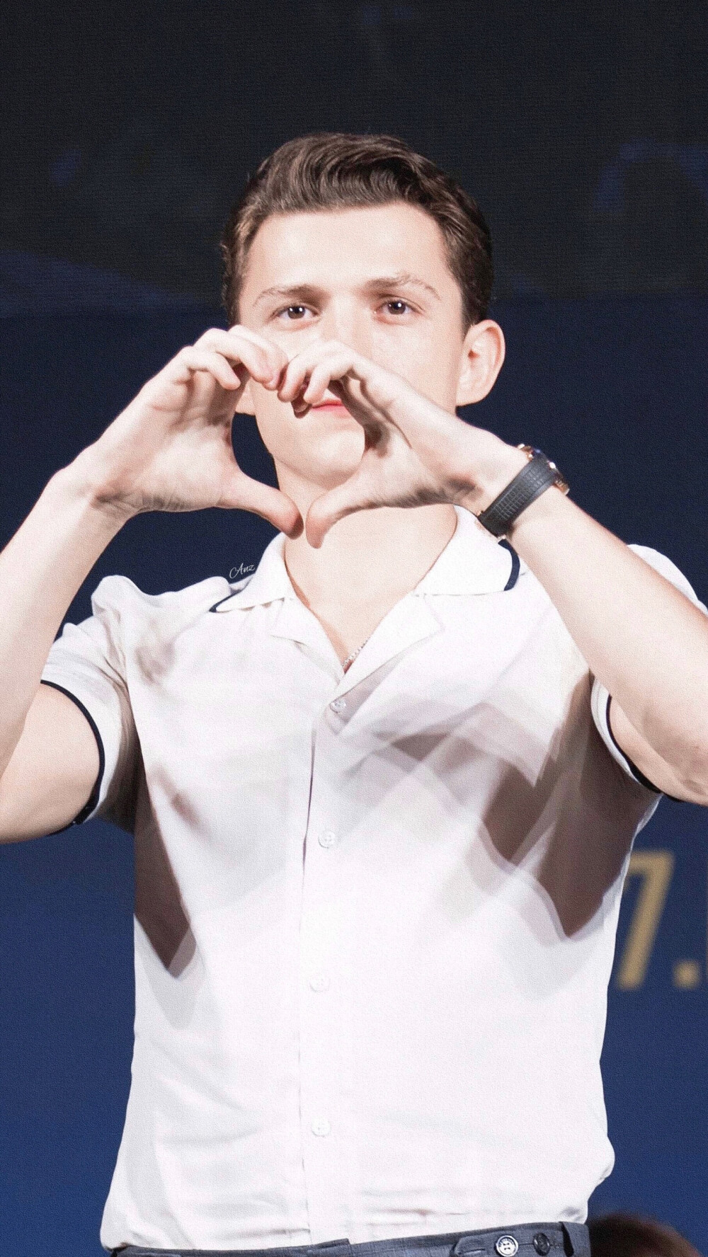 tomholland