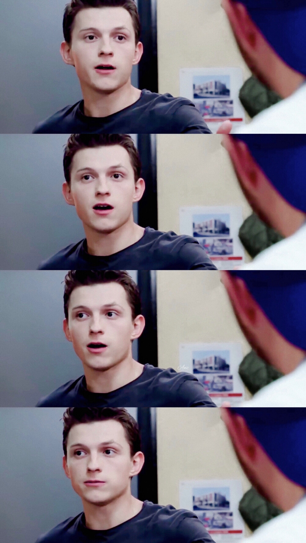 tomholland