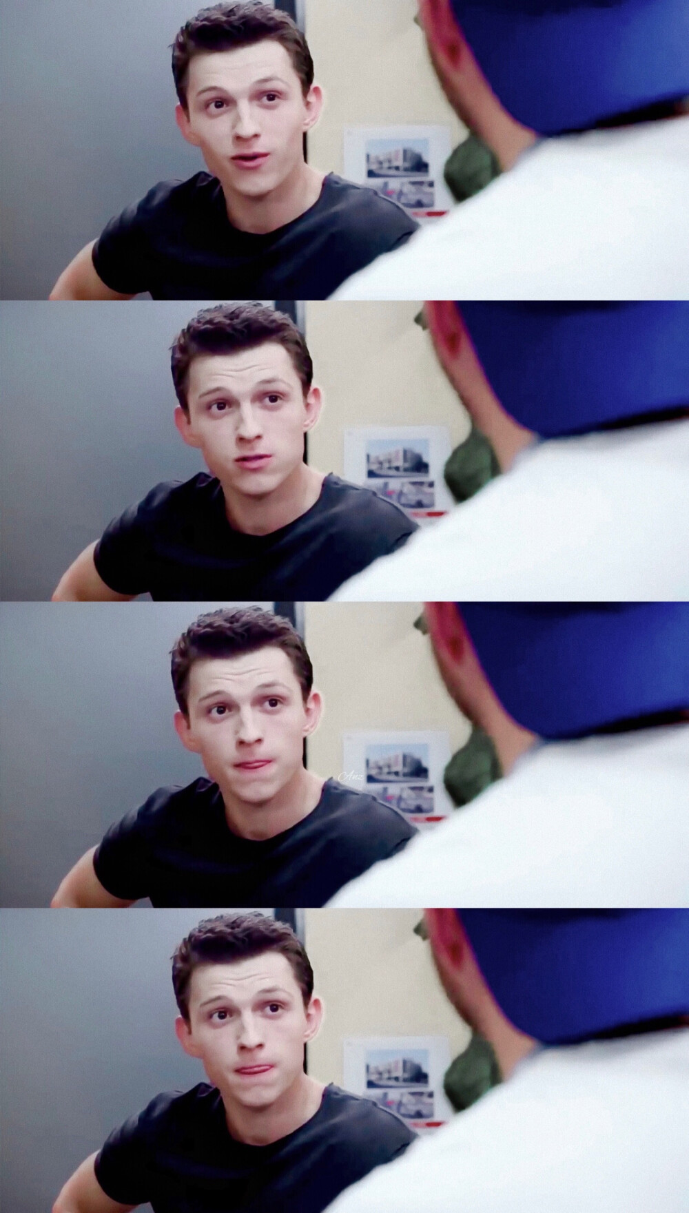 tomholland