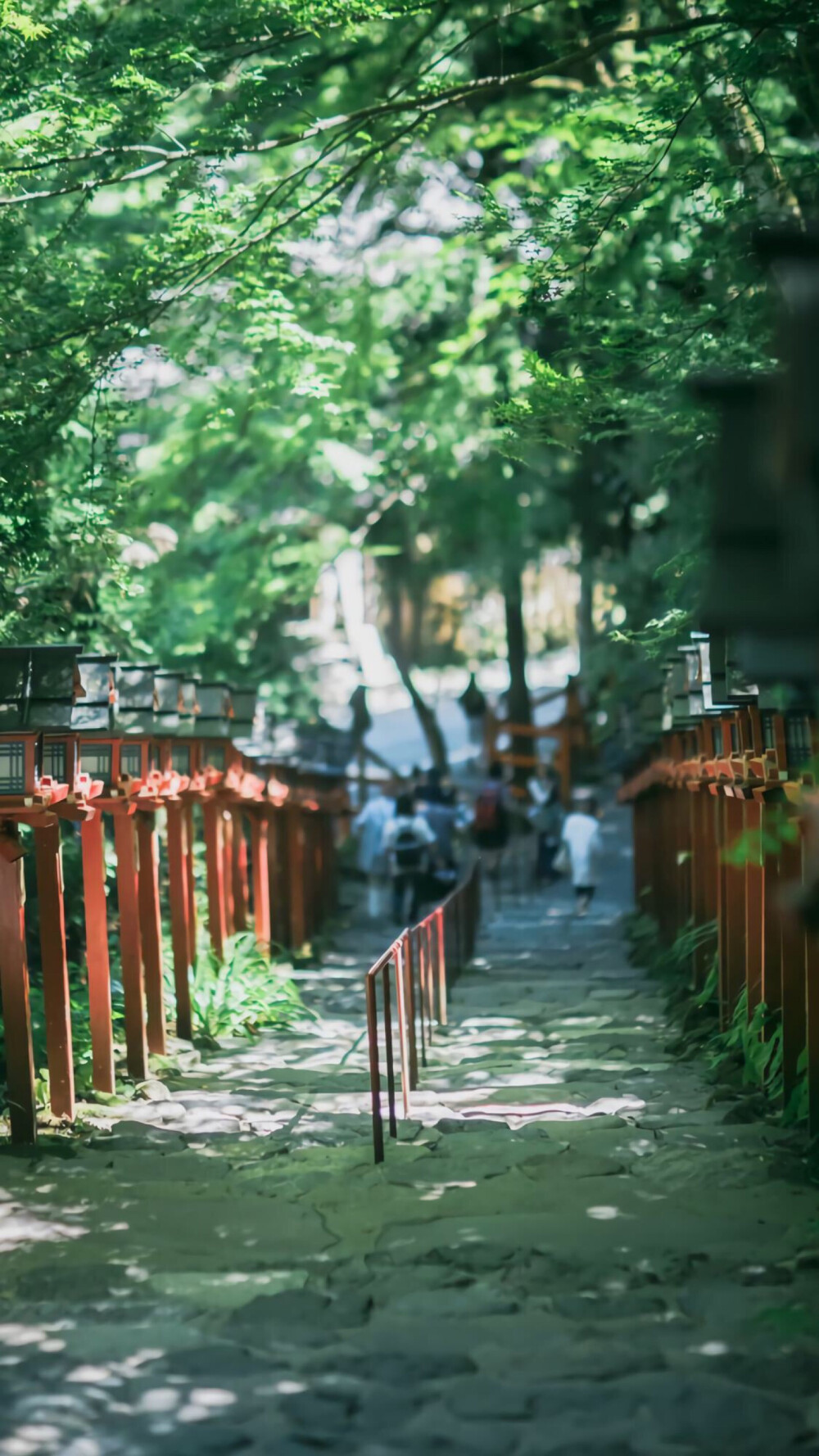 夏日清新淡雅自然风景