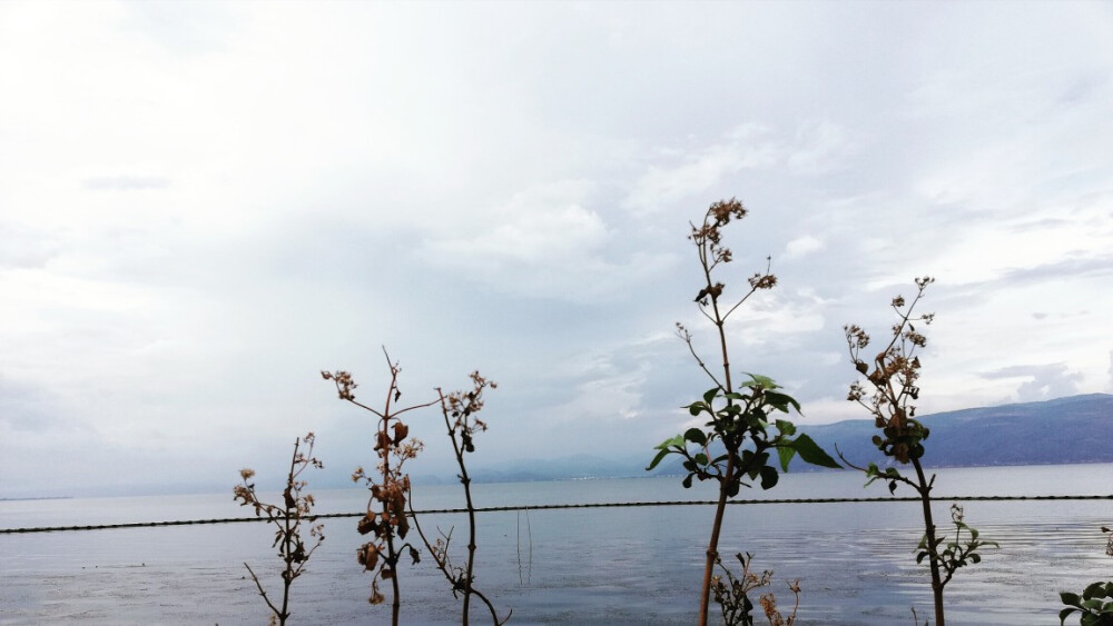 等你
在雨中
在造虹的雨中
蝉声沉落
#大理##大理旅拍##西蒙有象##西蒙有象旅拍工作室##大理旅游#