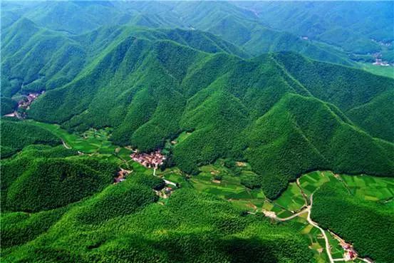 水青山就是金山银山