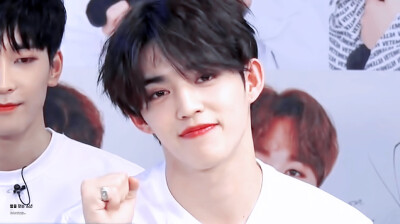 S.COUPS 崔胜澈