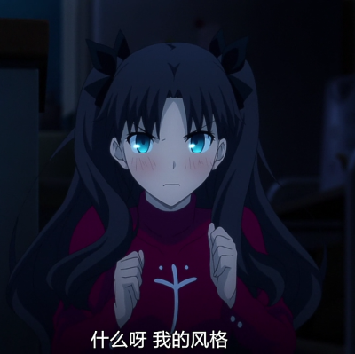 fate stay night远坂凛