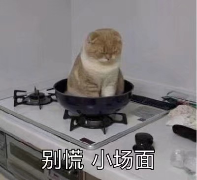 猫猫表情包