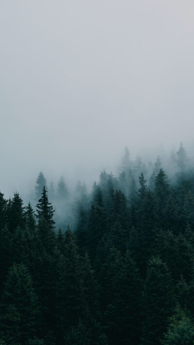 高清壁纸——风景静物