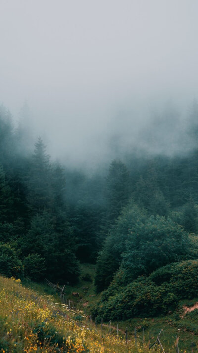 高清壁纸——风景静物