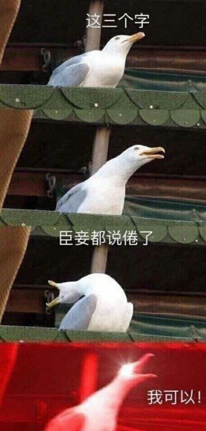 表情包