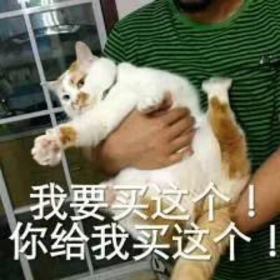 今日份沙雕头像