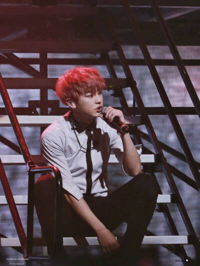 EXO·朴灿烈